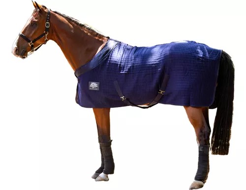 WhatsApp Image 2025-01-30 at 11.23.07 AM